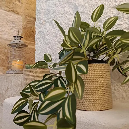 Tulipano Bianco Appartement Ostuni Buitenkant foto
