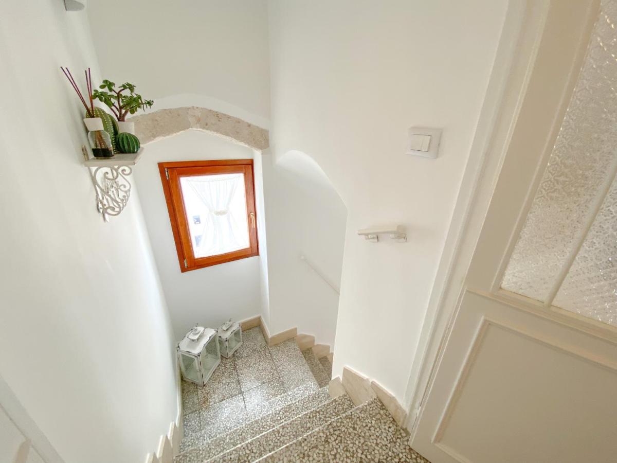 Tulipano Bianco Ostuni