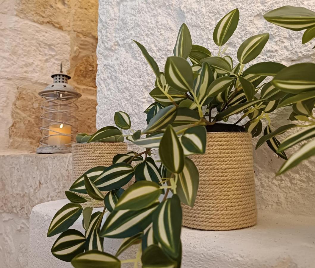 Apartment Tulipano Bianco Ostuni